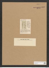 Surirella helvetica Brun (de-Toni-Nr.: Genus 53, Species 2226) Zeichnungen Sammlung Grunow Nr. 4643 (NHMW-BOT-W0372700)